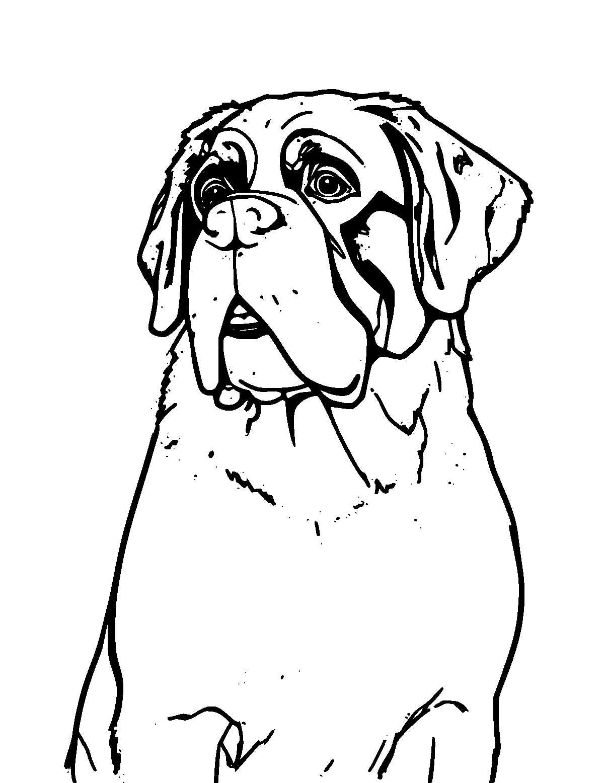 Line-art coloring page of Saint Bernard, thick outlines, centered