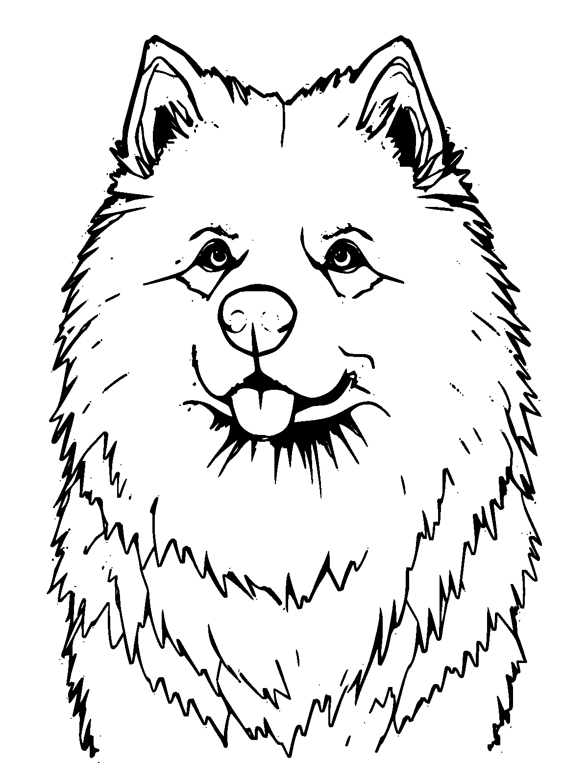 Line-art coloring page of Samoyed, medium outlines, centered