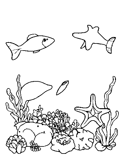 Sea Animals
