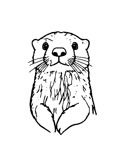 Sea Otter