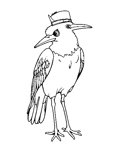 Secretary Bird