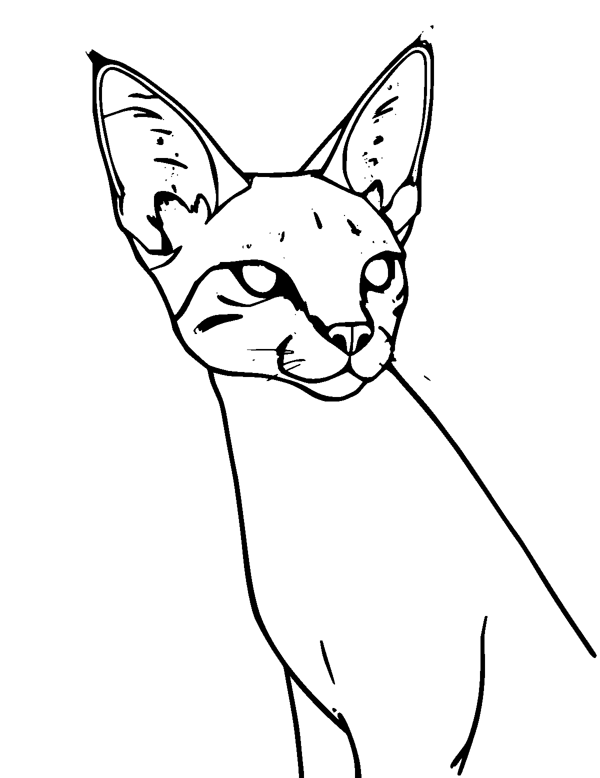Line-art coloring page of Serval, medium outlines, centered