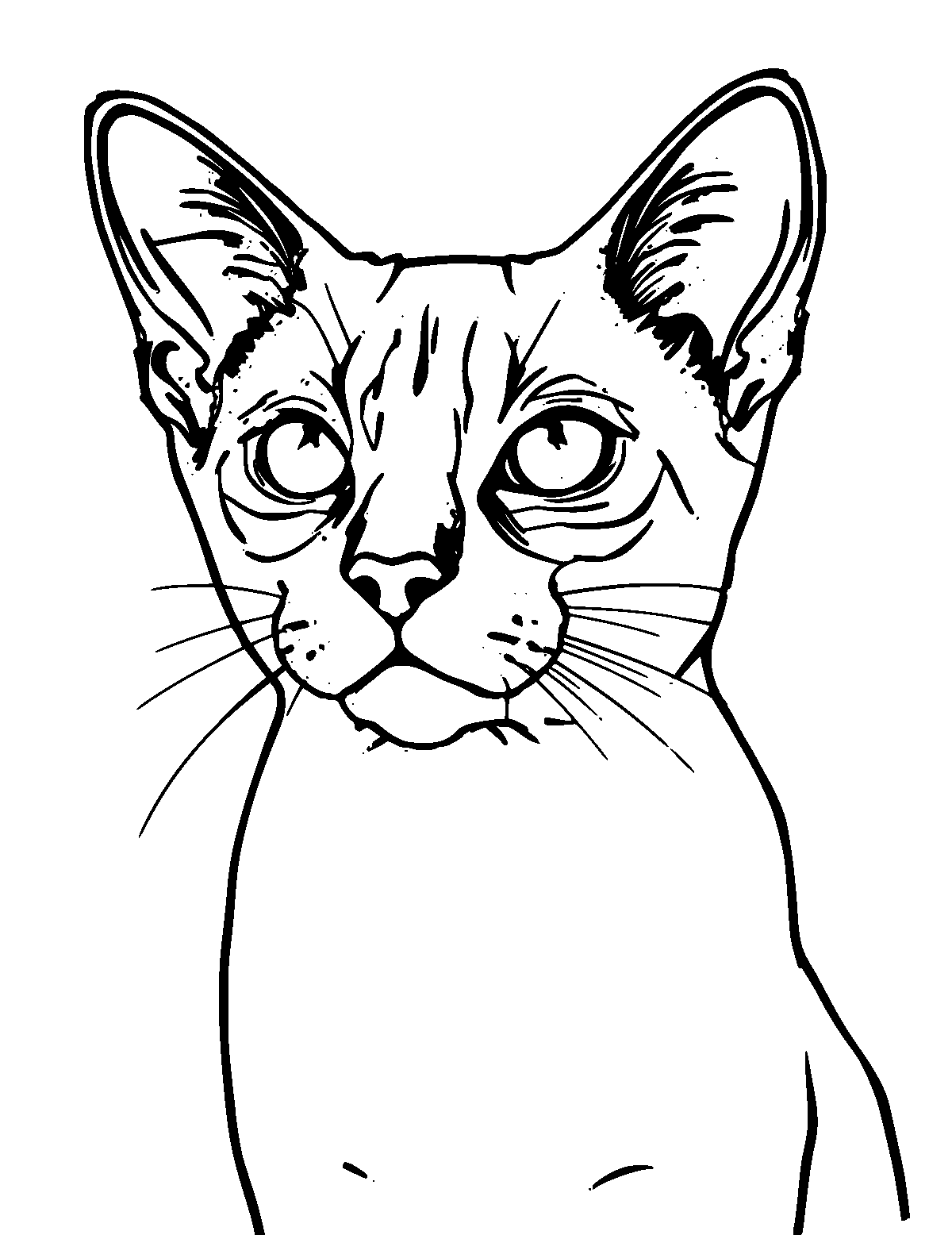 Line-art coloring page of Siamese Cat, medium outlines, centered