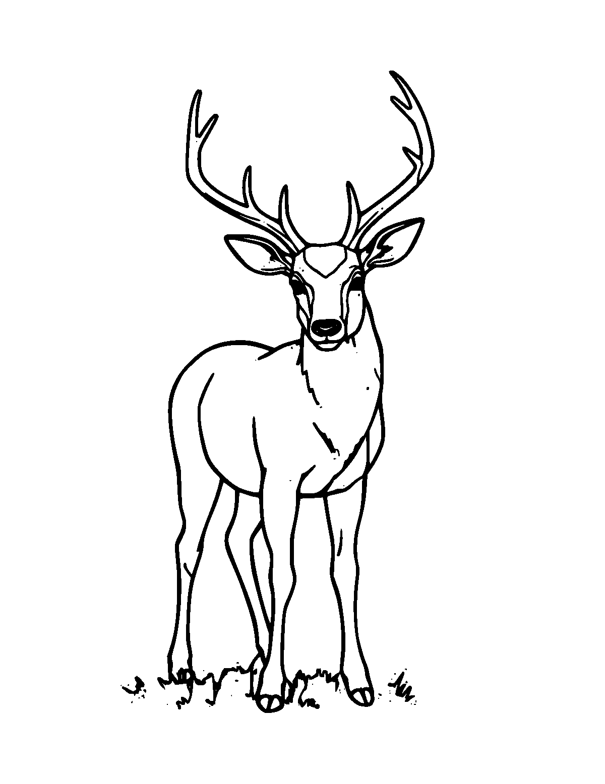 Line-art coloring page of Sika Deer, medium outlines, centered