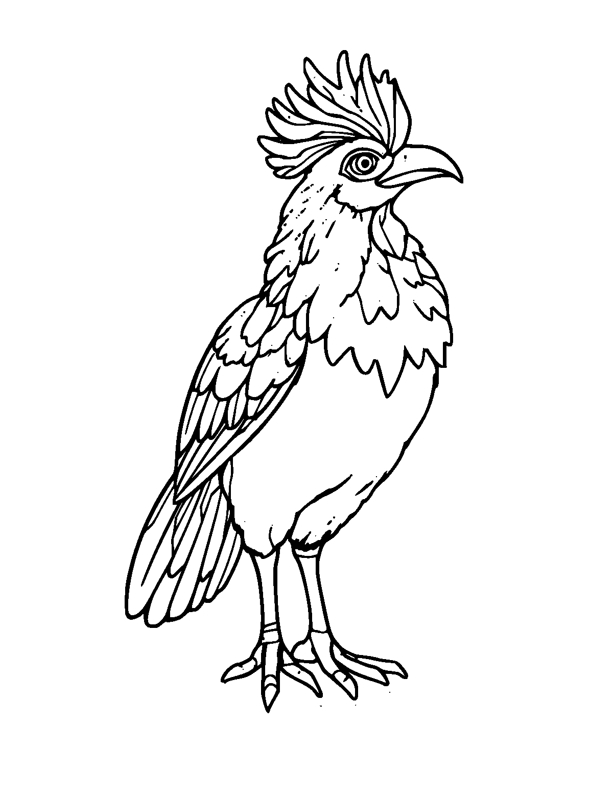 Line-art coloring page of Simurgh the Persian Bird, medium outlines, centered