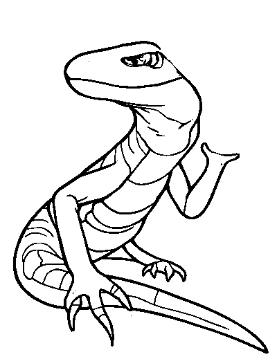 Skink