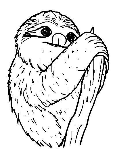 Sloth