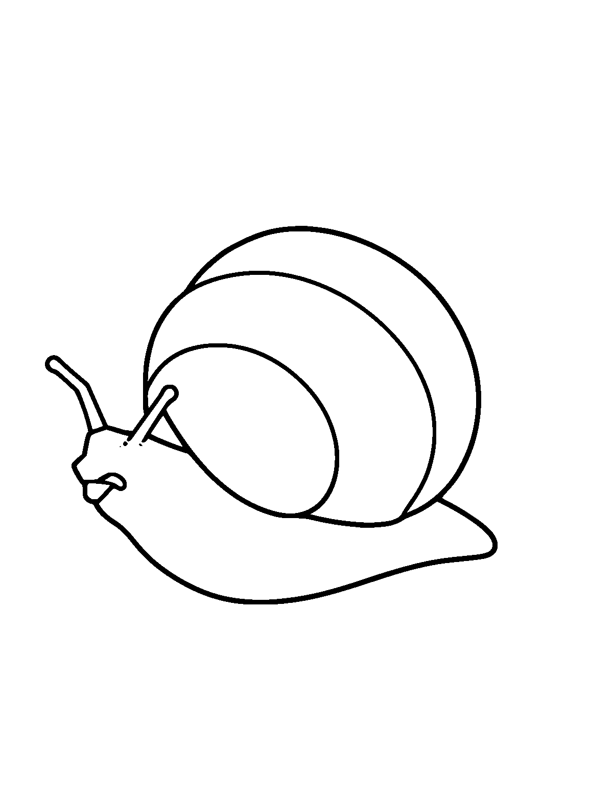 Line-art coloring page of Snail Shell, thick outlines, centered