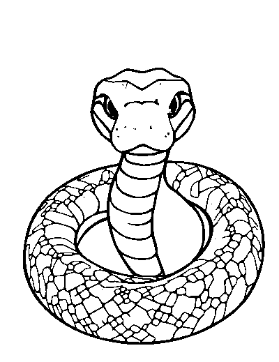 Snake