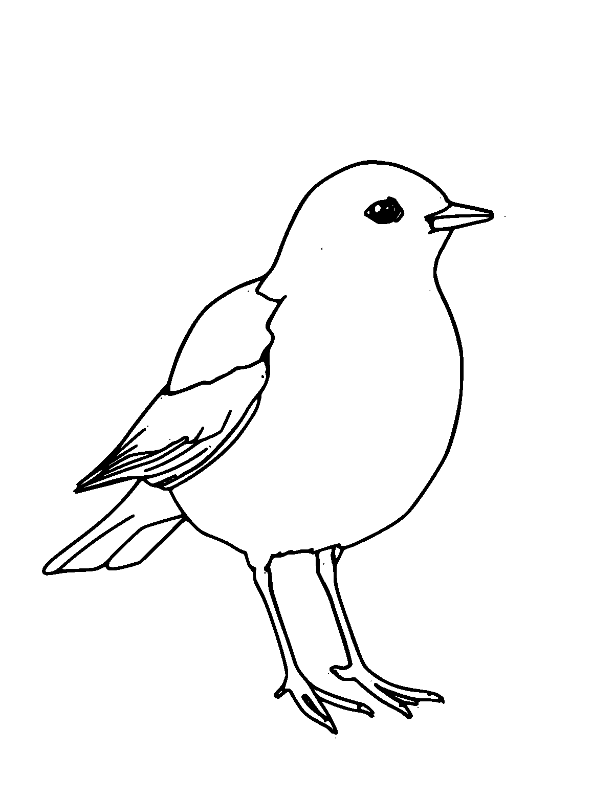 Line-art coloring page of Snow Petrel, medium outlines, centered