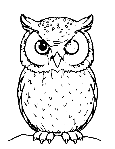 Snowy Owl