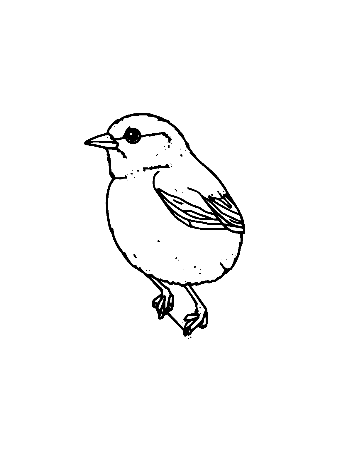 Line-art coloring page of Sparrow, medium outlines, centered