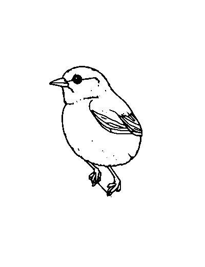 Sparrow