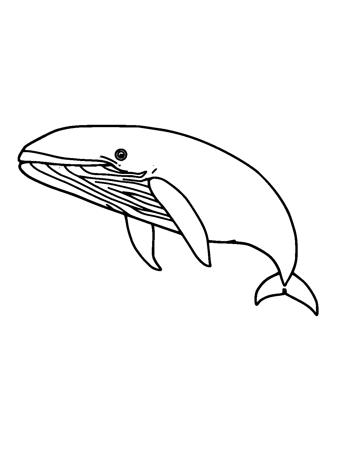 Line-art coloring page of Sperm Whale, medium outlines, centered