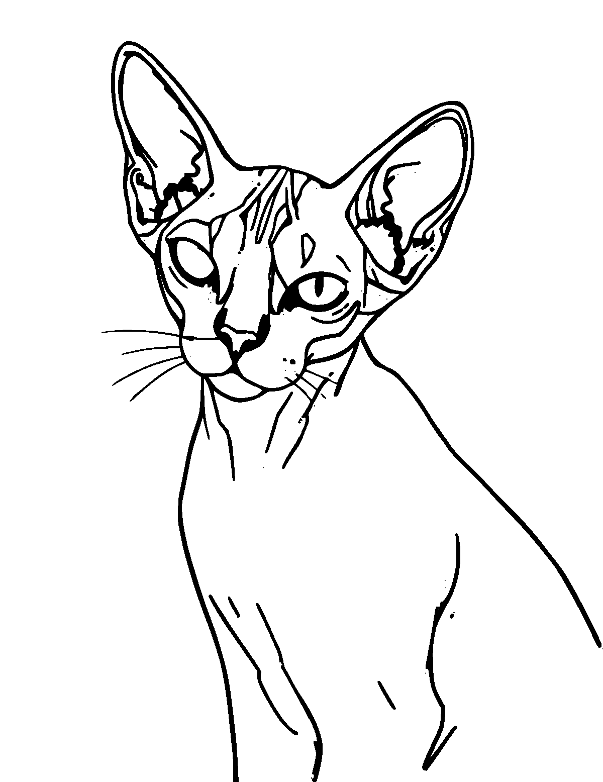 Line-art coloring page of Sphynx Cat, medium outlines, centered
