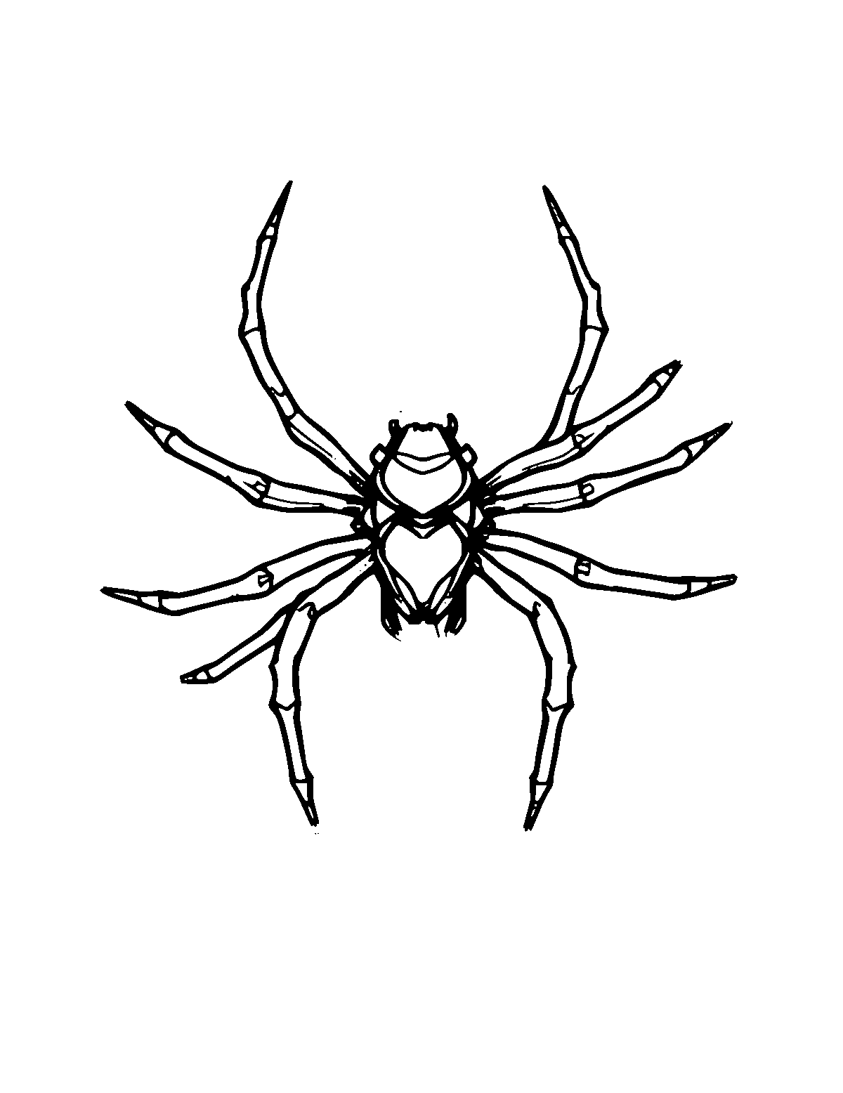 Line-art coloring page of Spider, medium outlines, centered