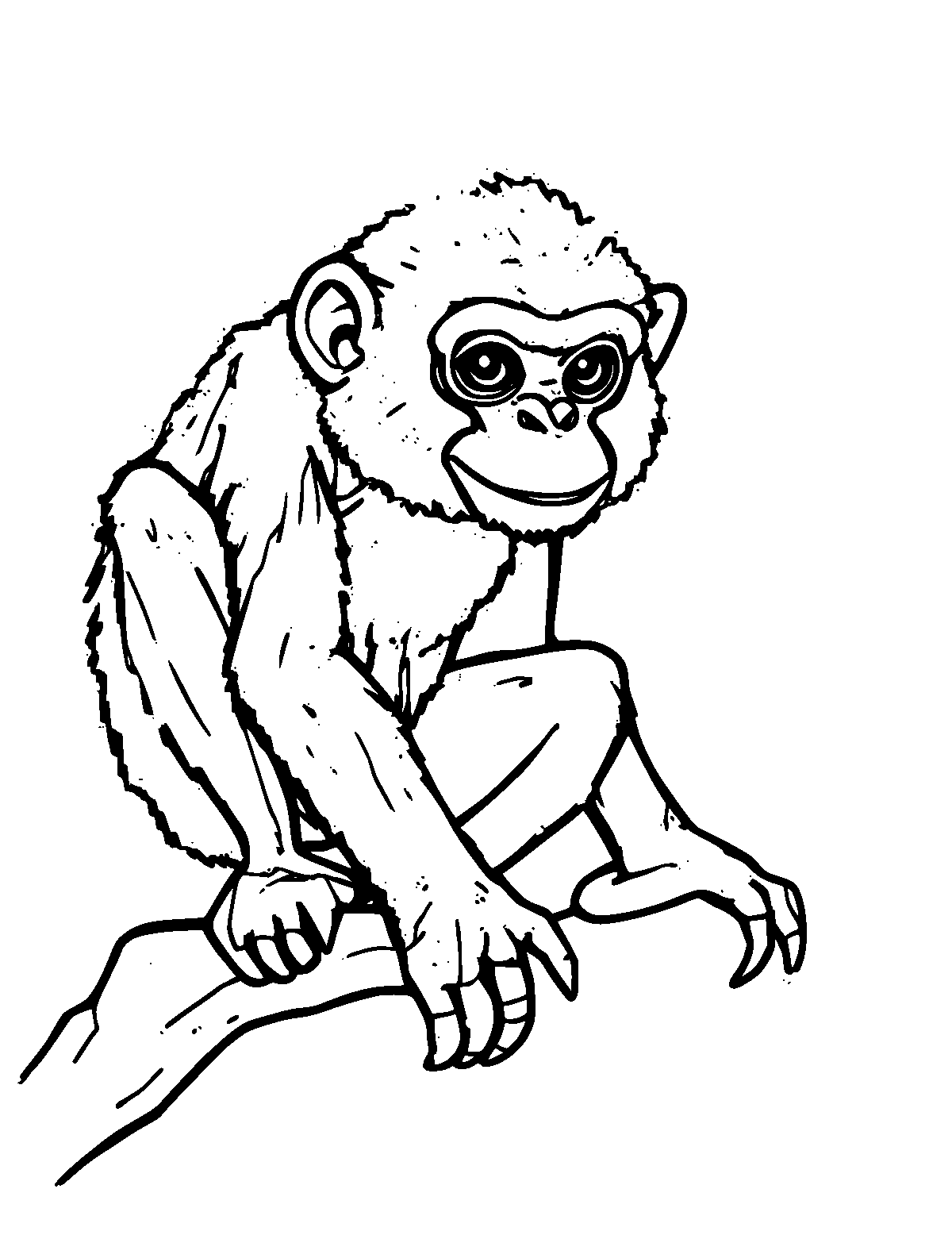 Line-art coloring page of Spider Monkey, medium outlines, centered