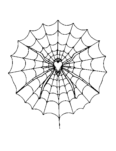Spider Web