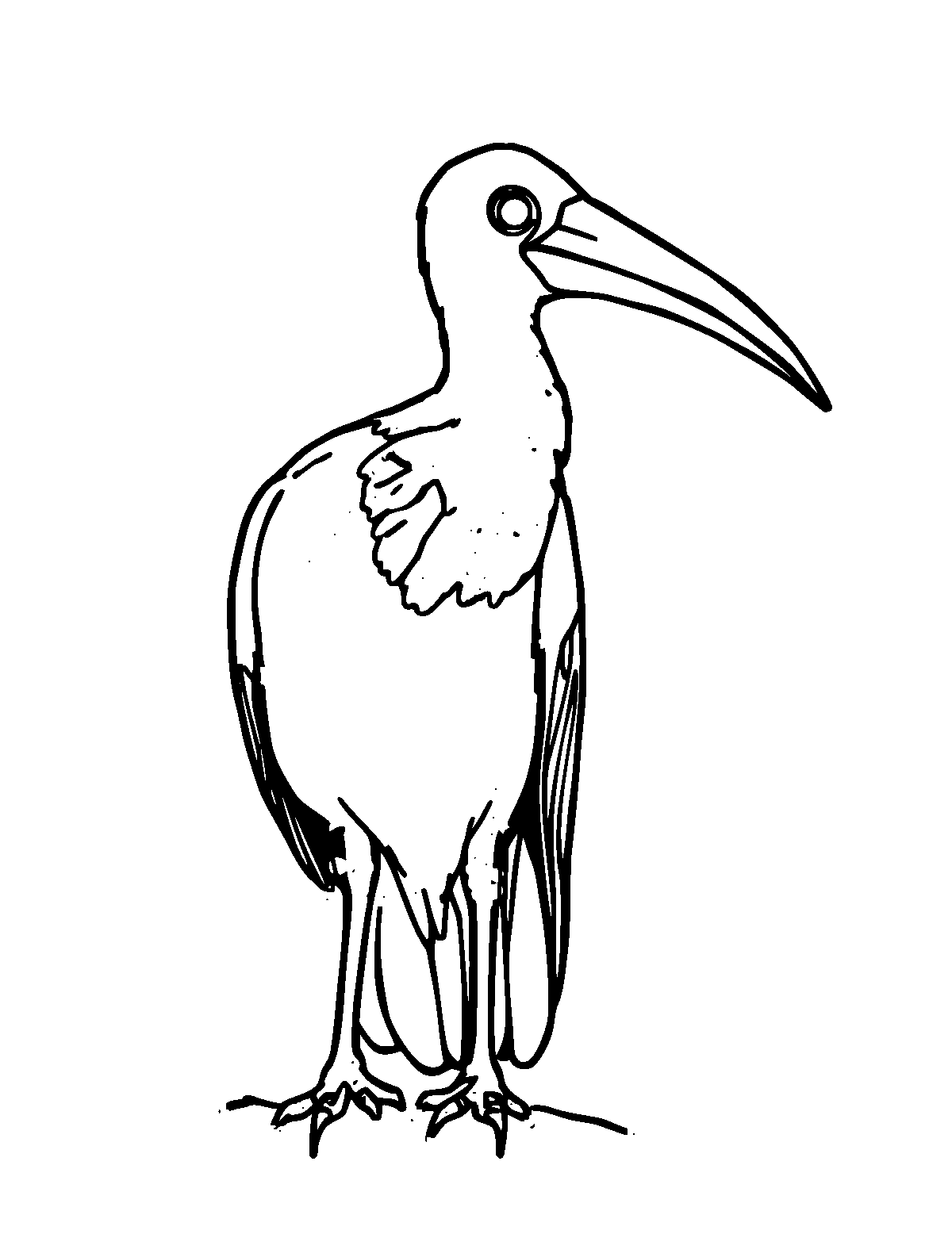 Line-art coloring page of Spoonbill, medium outlines, centered