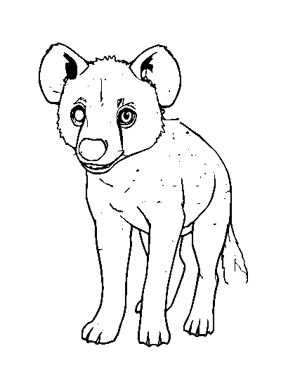 Spotted Hyena