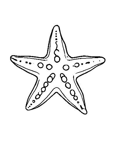 Starfish