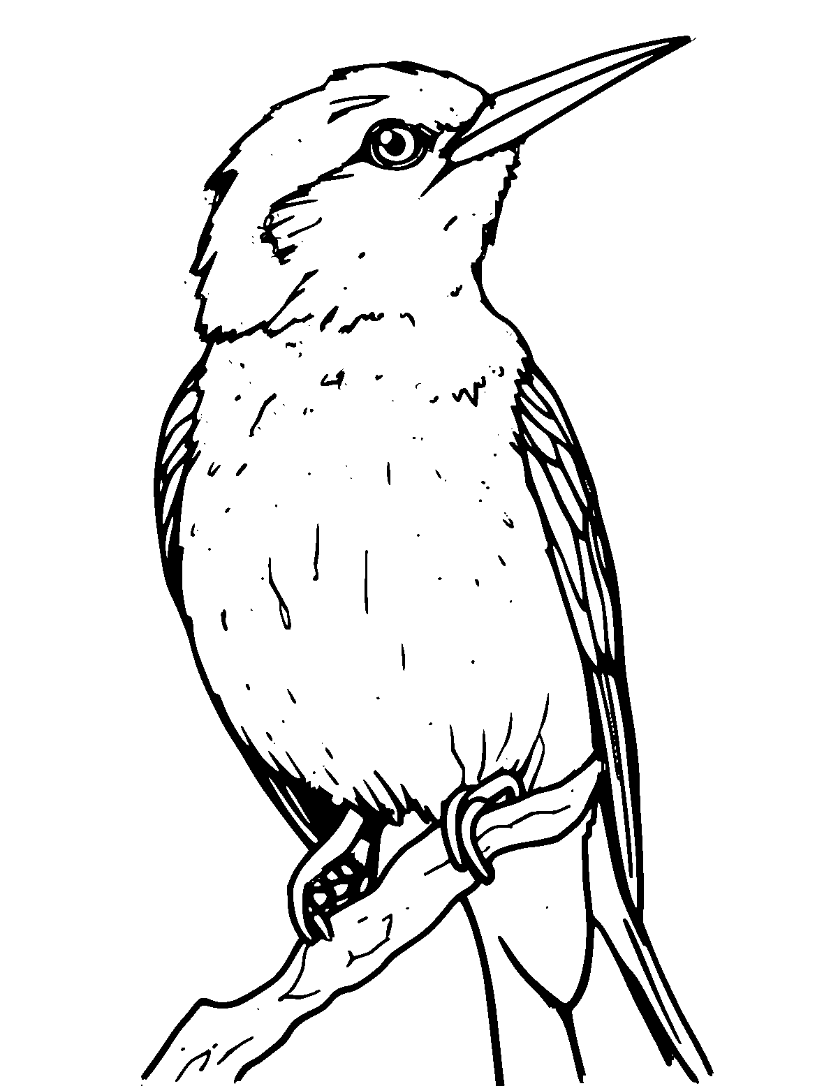 Line-art coloring page of Starling, medium outlines, centered