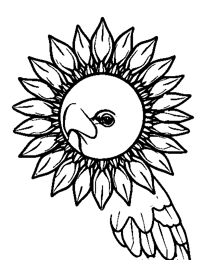 Sun Conure