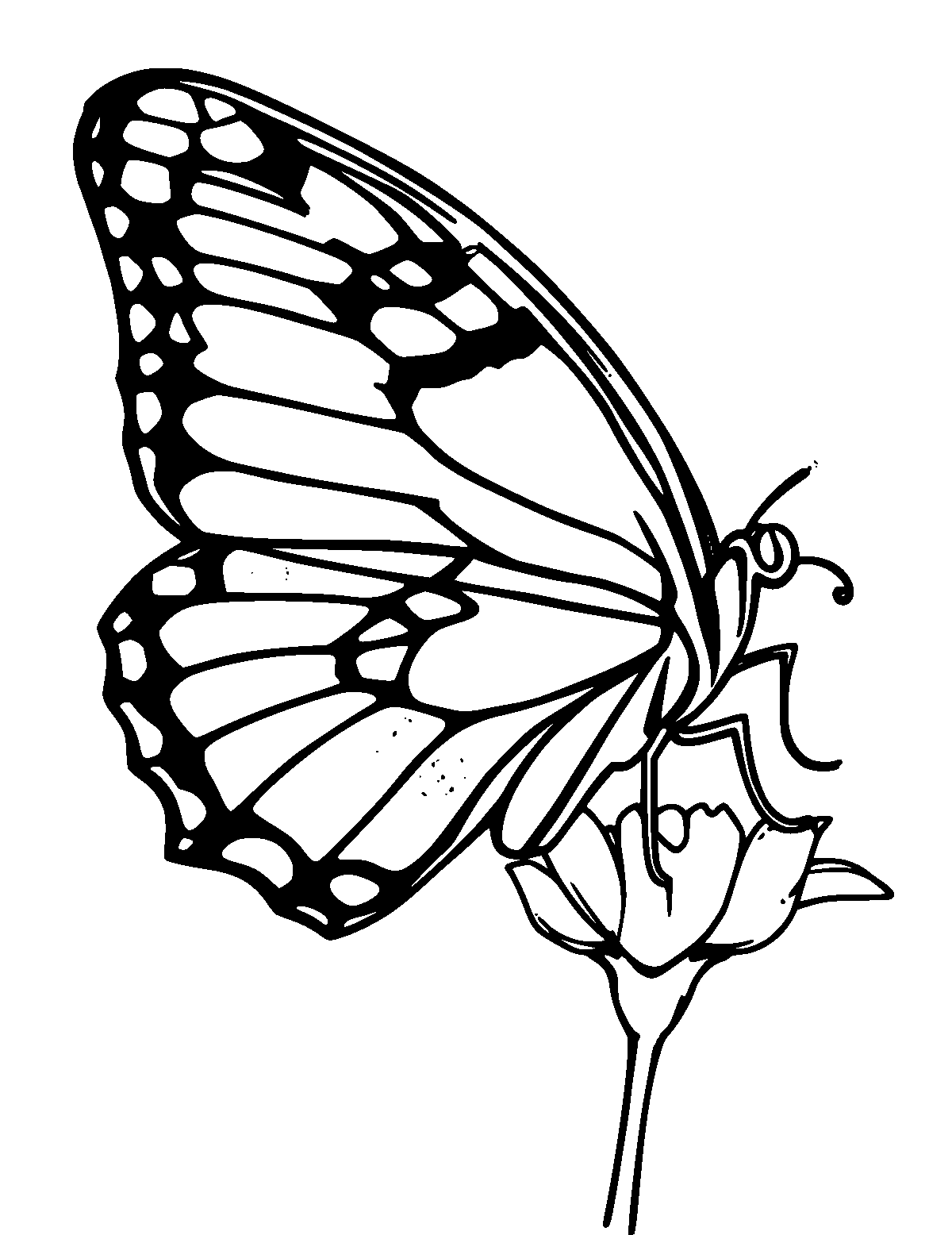 Line-art coloring page of Swallowtail Butterfly, thick outlines, centered
