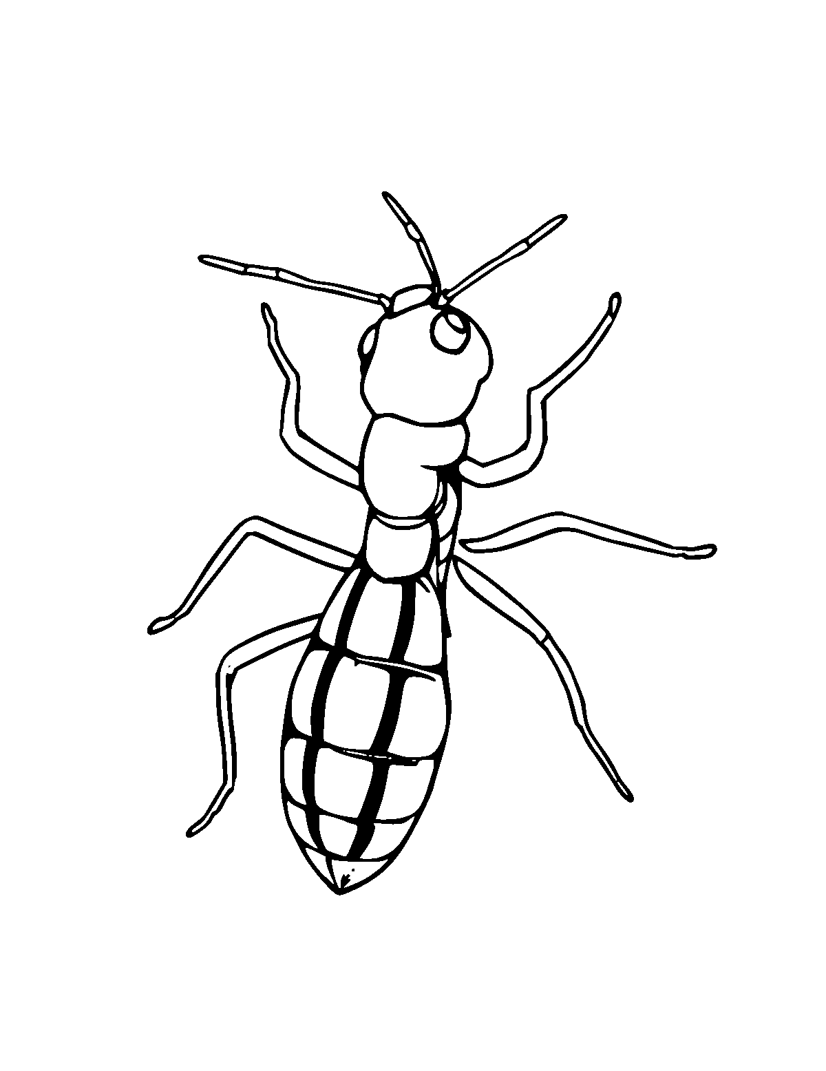 Line-art coloring page of Termite, medium outlines, centered