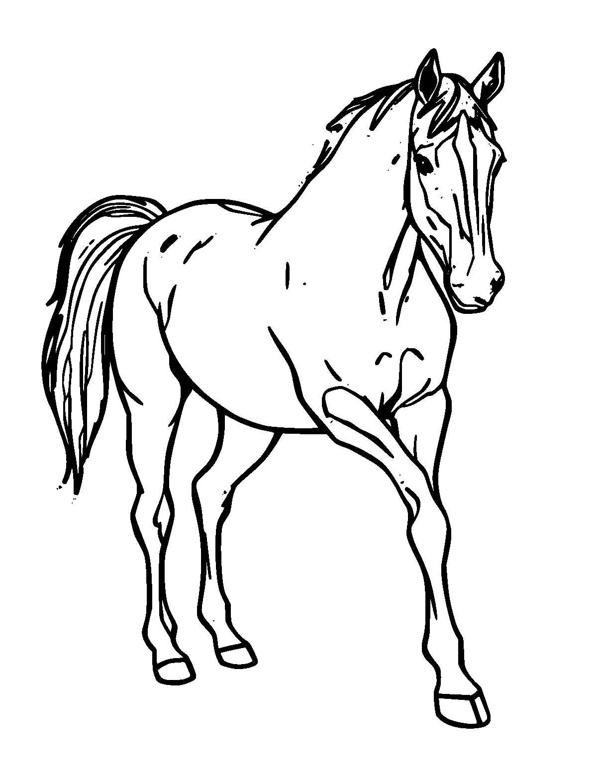 Line-art coloring page of Thoroughbred Horse, medium outlines, centered