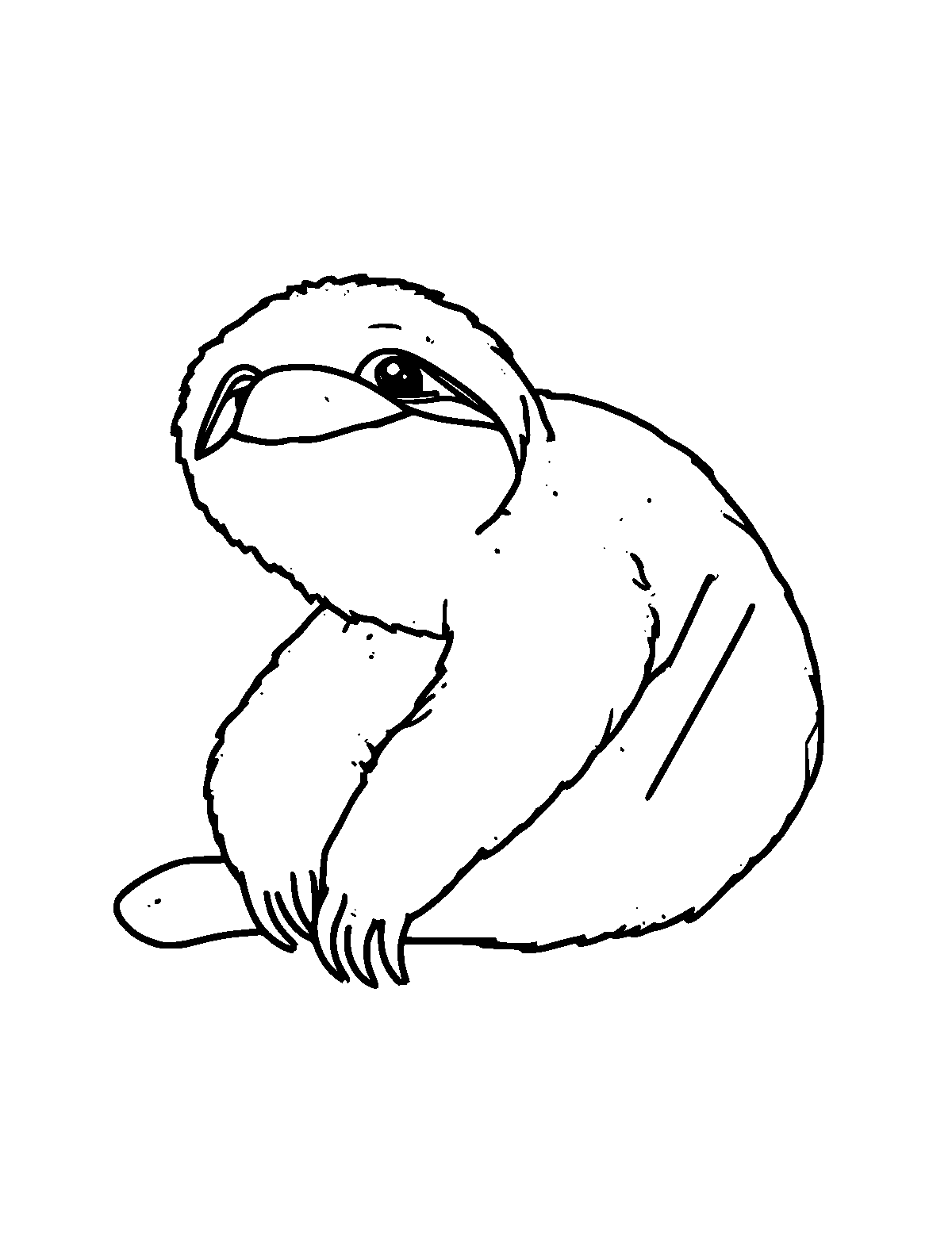 Line-art coloring page of Three-Toed Sloth, medium outlines, centered