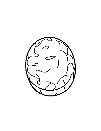 Tick