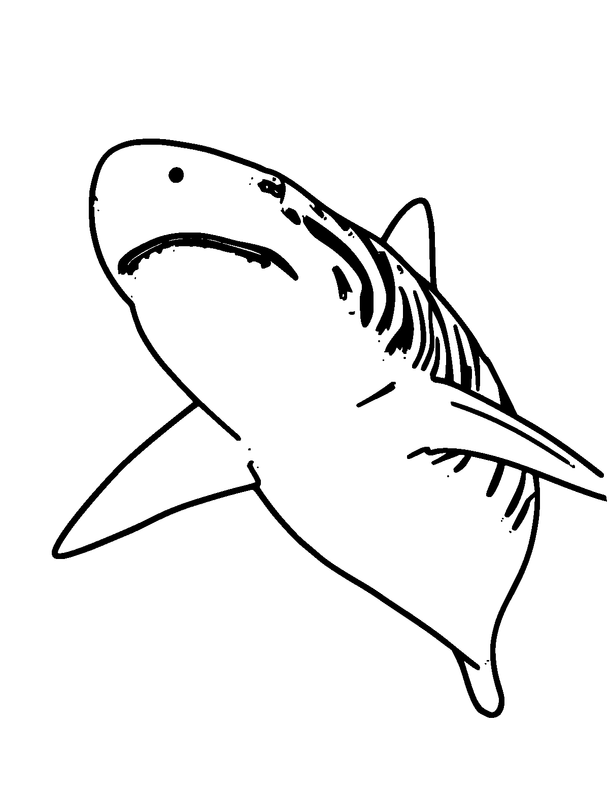 Line-art coloring page of Tiger Shark, thick outlines, centered