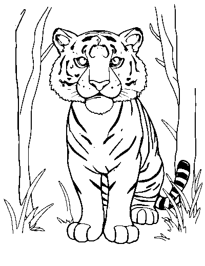 Tiger Woods