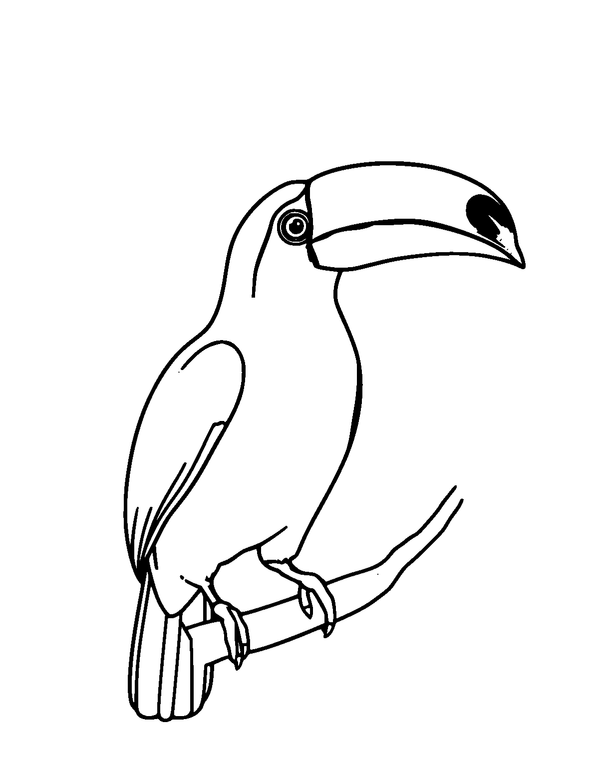 Line-art coloring page of Toco Toucan, medium outlines, centered