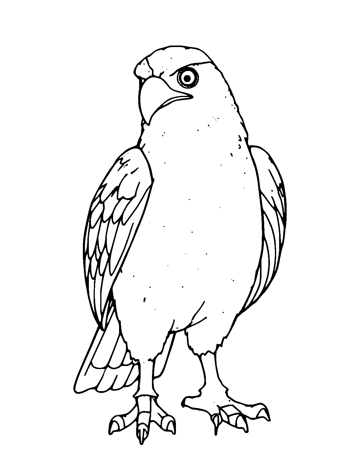 Line-art coloring page of Tony Hawk, medium outlines, centered