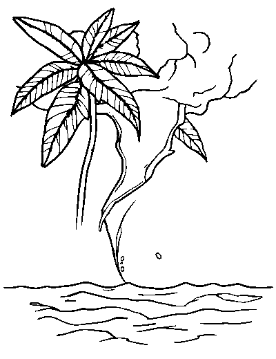 Tropical Storm