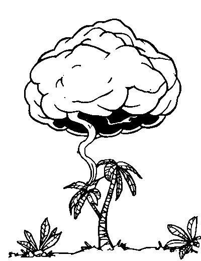 Tropical Storm