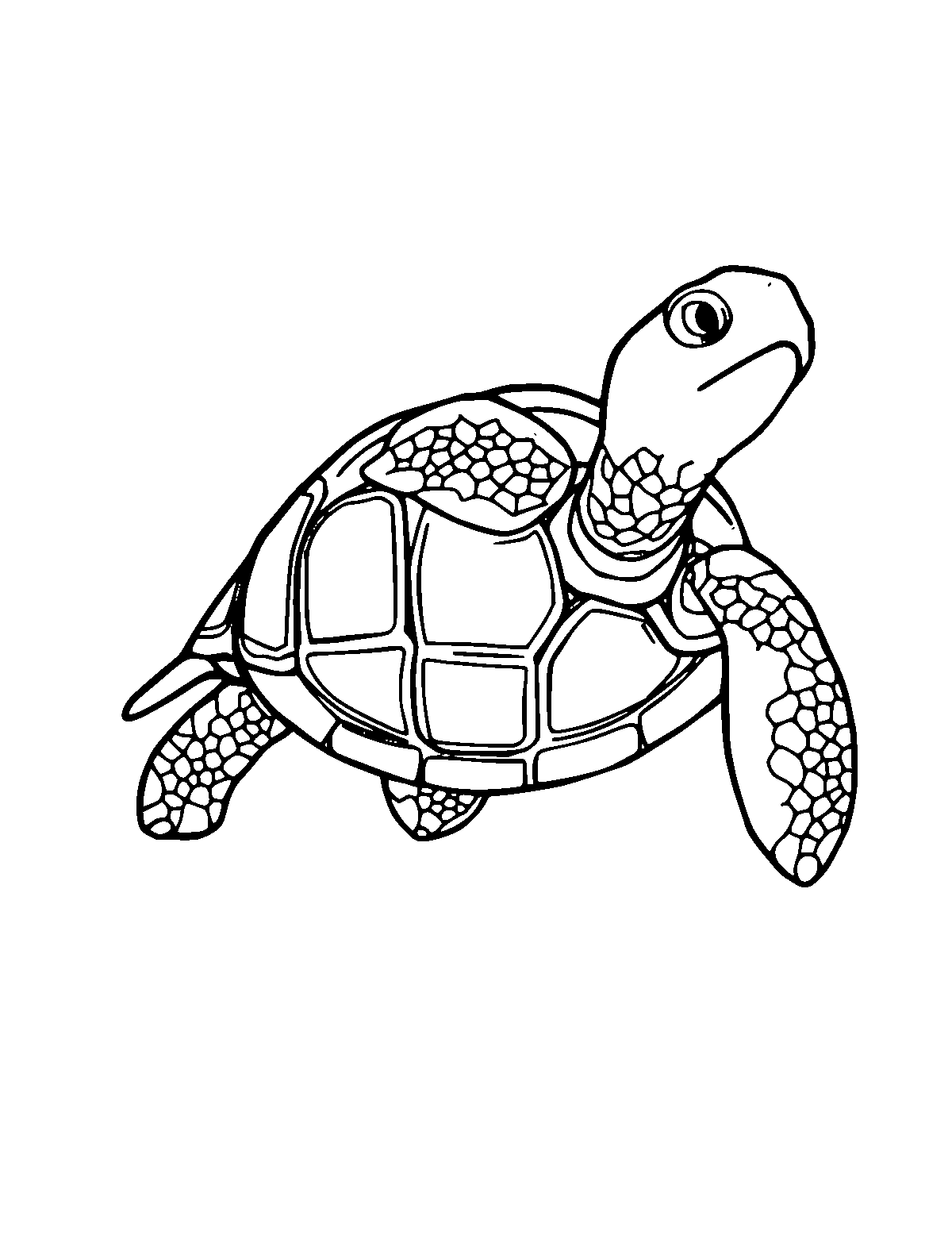 Line-art coloring page of Turtle, medium outlines, centered