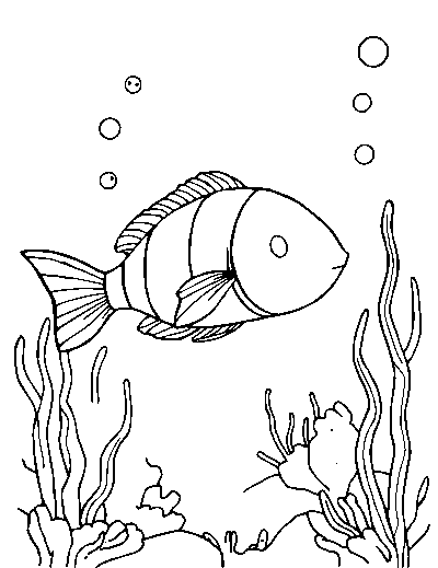 Under the Sea
