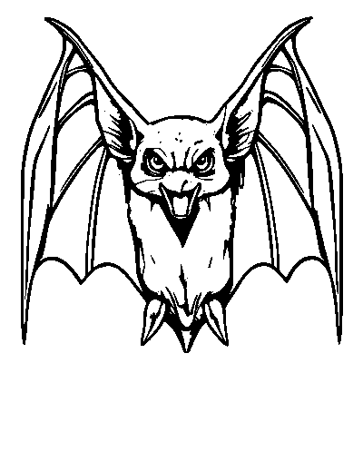 Vampire Bat