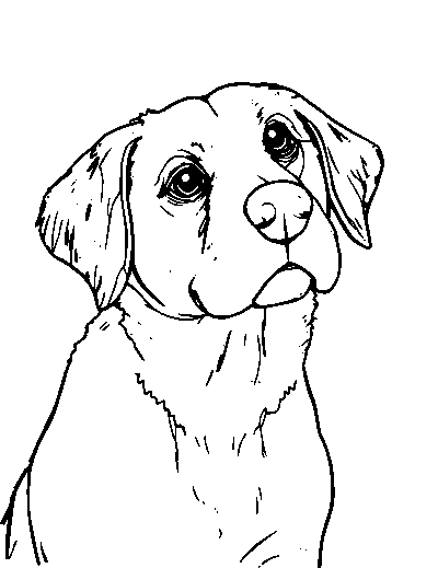 Veterinarian