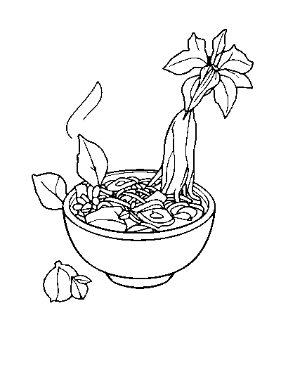 Vietnamese Pho