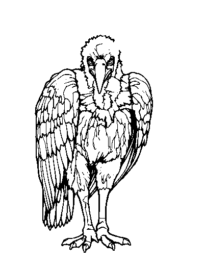 Vulture