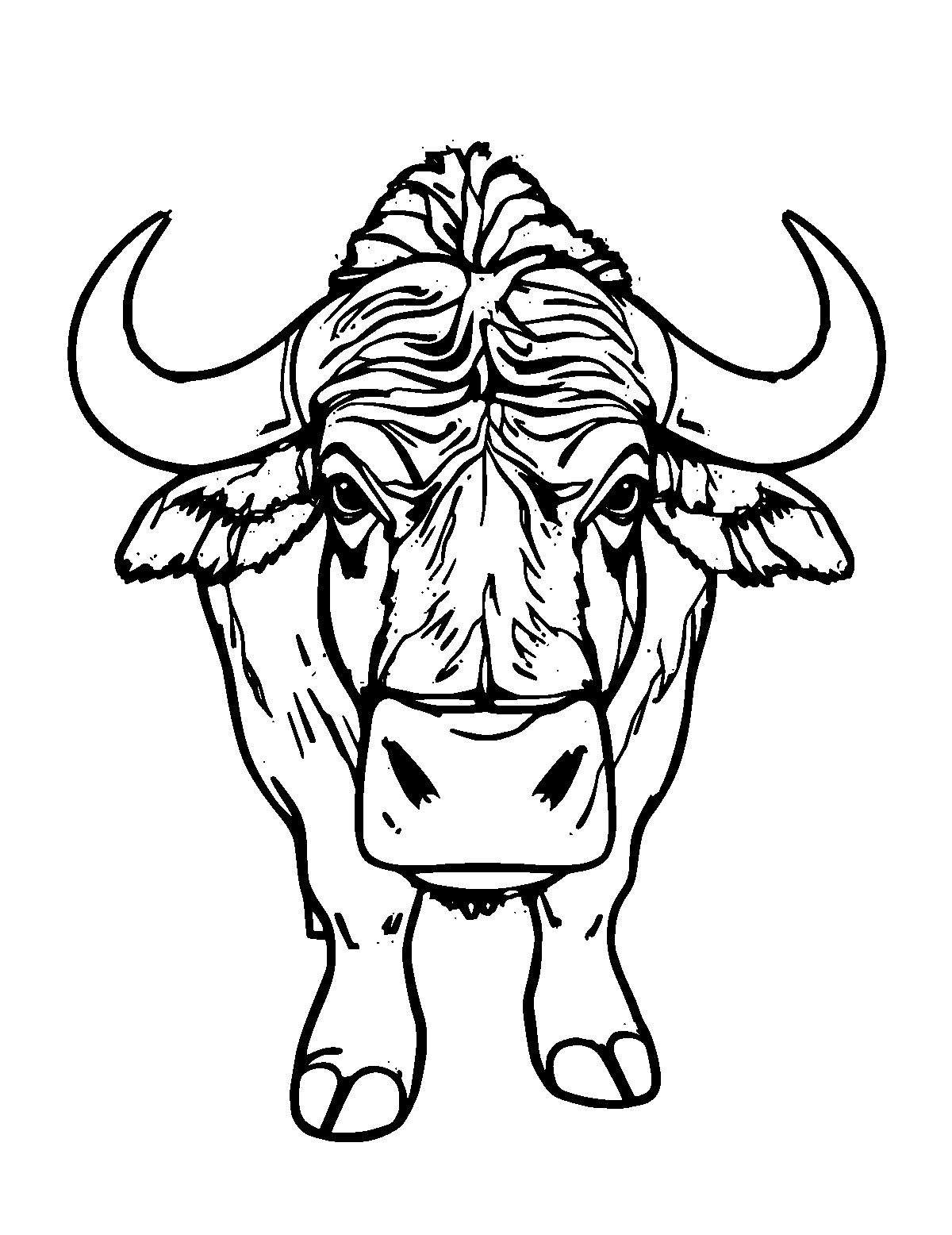 Line-art coloring page of Water Buffalo, medium outlines, centered