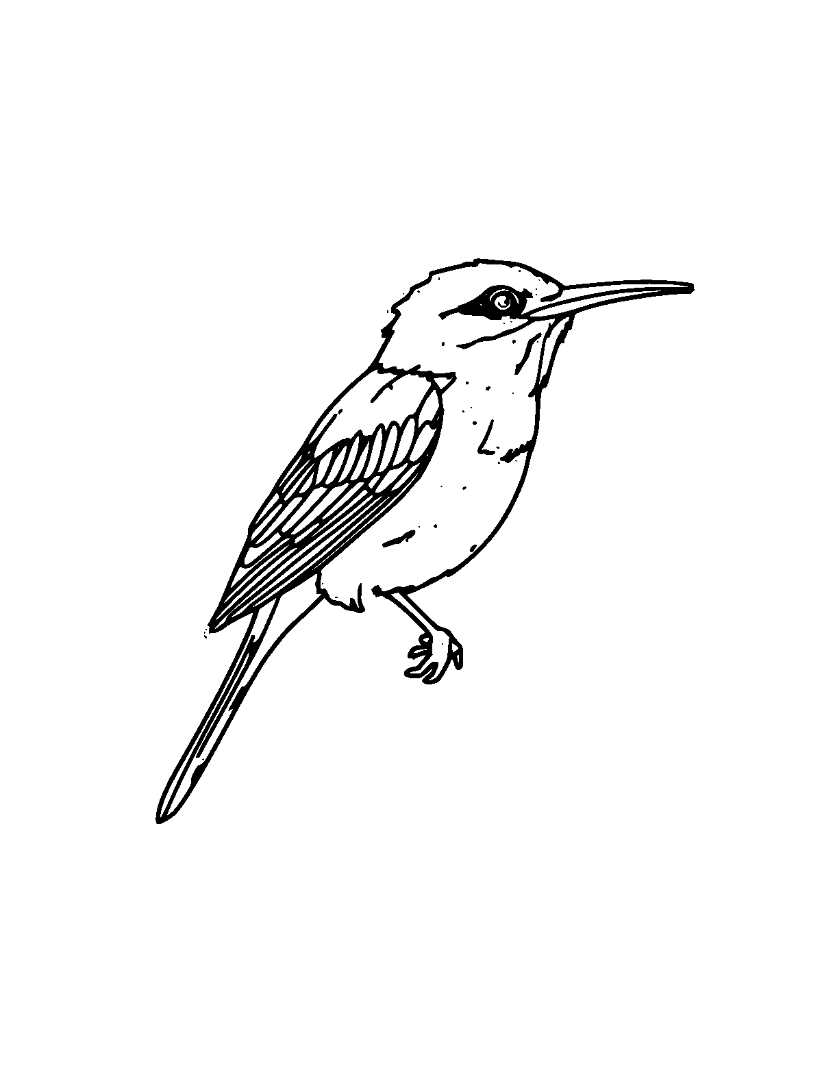 Line-art coloring page of Weaver Bird, medium outlines, centered