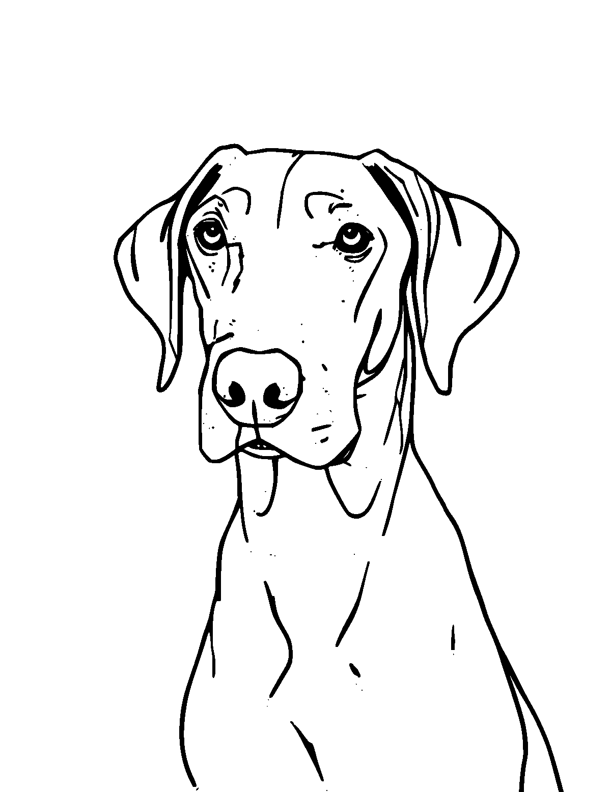 Line-art coloring page of Weimaraner, medium outlines, centered