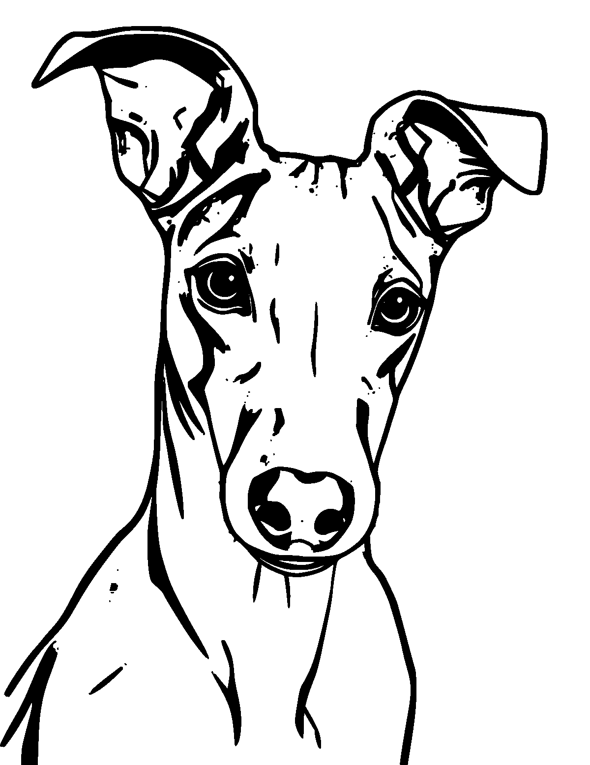 Line-art coloring page of Whippet, thick outlines, centered