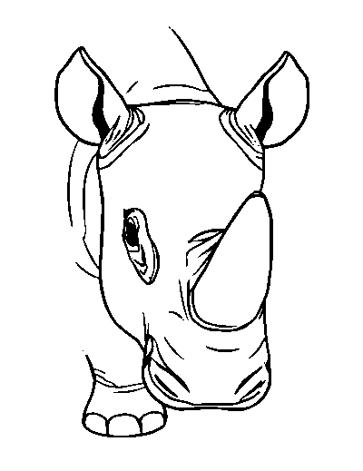 White Rhinoceros