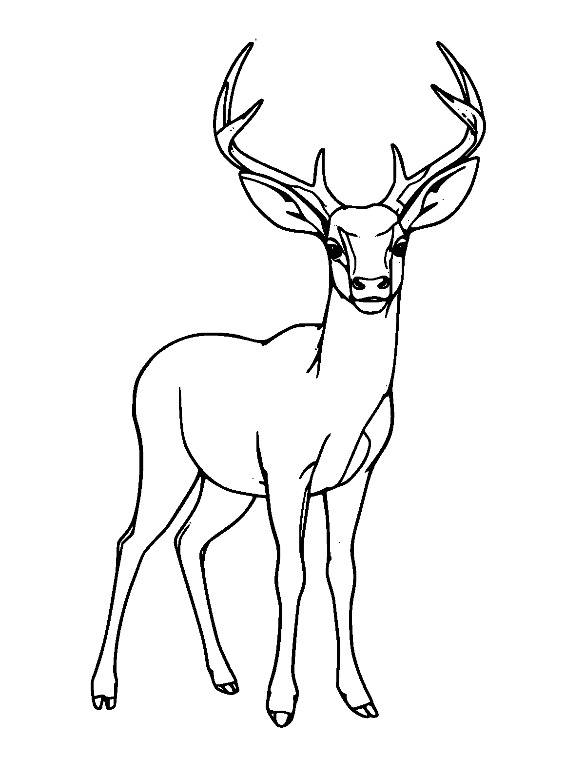 Line-art coloring page of White-Tailed Deer, medium outlines, centered